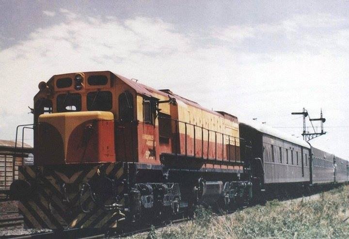 tren expreso los arrayanes
